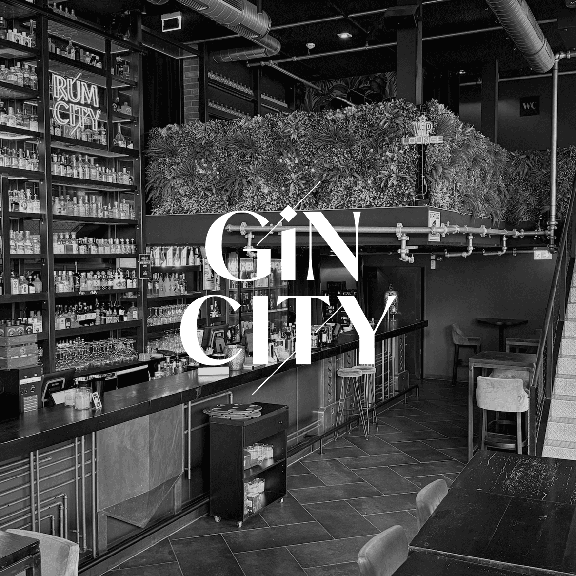 Gin City