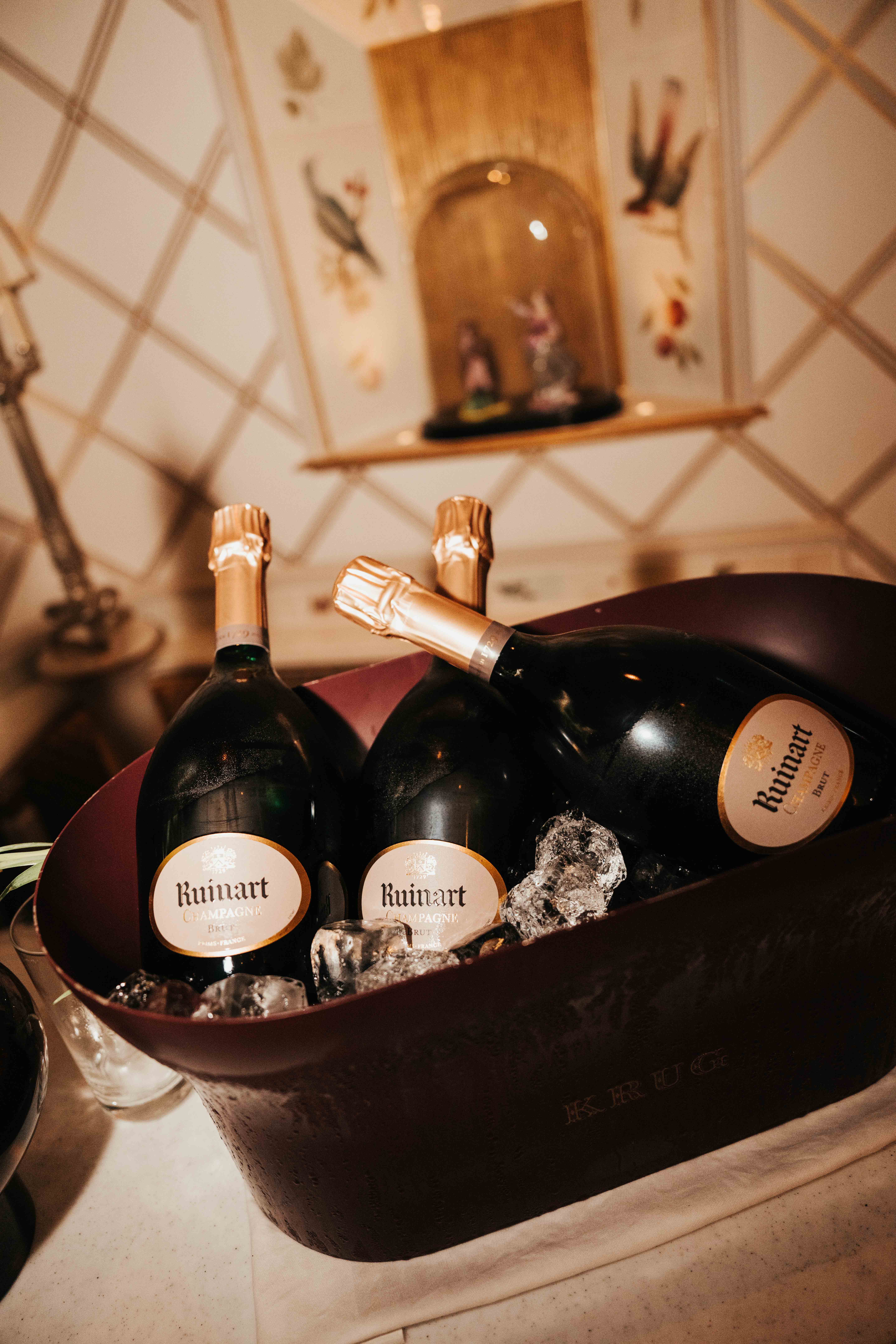 Cocktail X Event Catering
